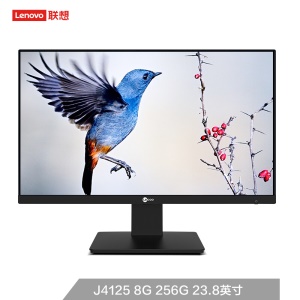 联想(Lenovo) 来酷 Lecoo一体台式机电脑23.8英寸(J4125 8G 256G Windows10 三年上门 送无线键鼠) 黑